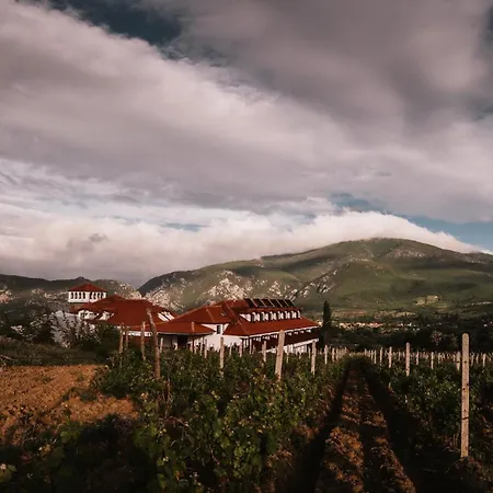 Отель Popova Kula & Winery