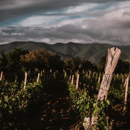 Popova Kula & Winery Отель Демир-Капия